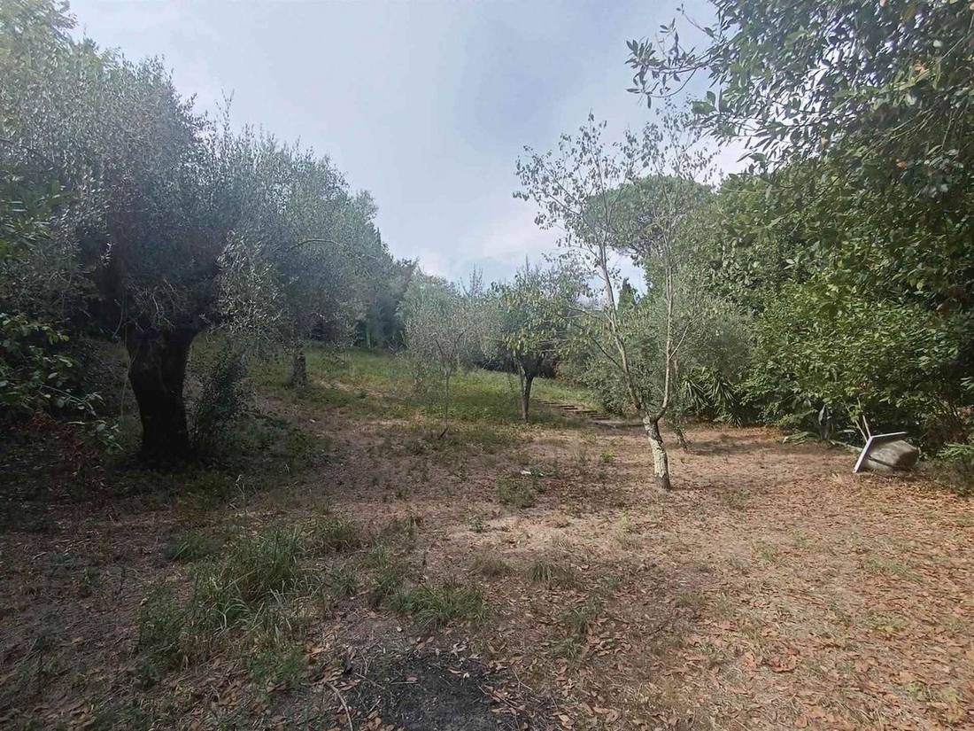 Palazzo a Marzano Appio — foto 7